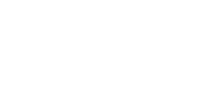 BESSON